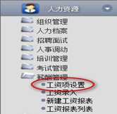 工資項(xiàng)設(shè)置