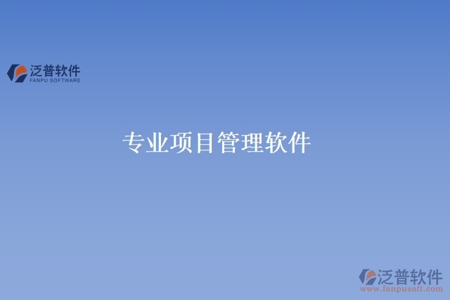 專(zhuān)業(yè)項(xiàng)目管理軟件
