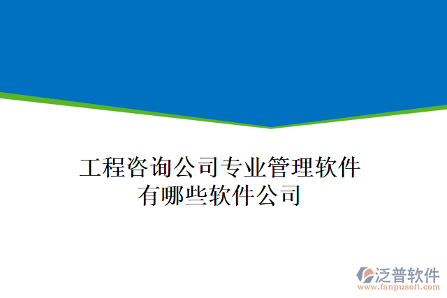 工程咨詢(xún)公司專(zhuān)業(yè)管理軟件有哪些軟件公司