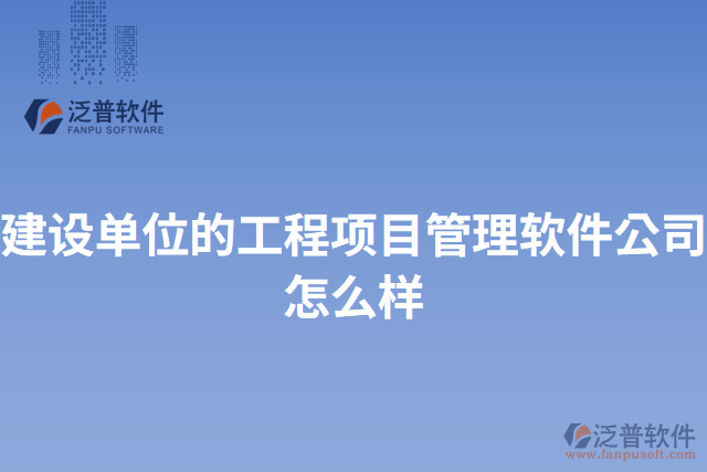 建設(shè)單位的工程項目管理軟件公司怎么樣