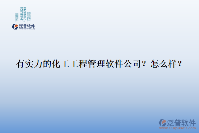 有實(shí)力的化工工程管理軟件公司？怎么樣？