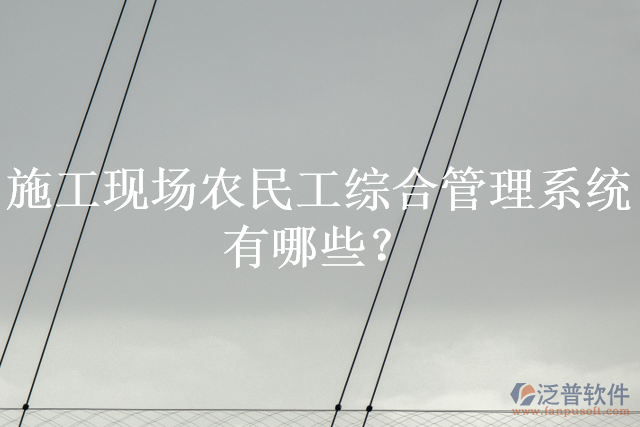 施工現(xiàn)場(chǎng)農(nóng)民工綜合管理系統(tǒng)有哪些？