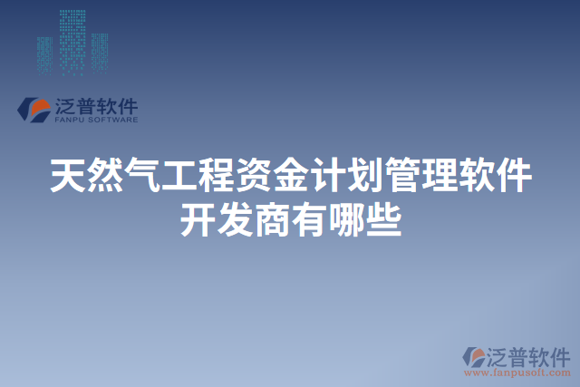 天然氣工程資金計(jì)劃管理軟件開發(fā)商有哪些