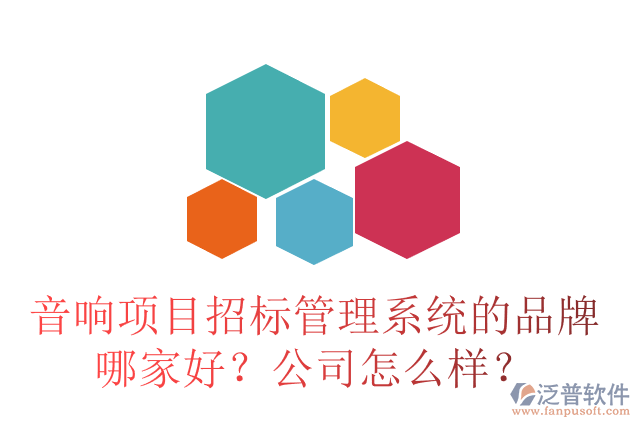 音響項(xiàng)目招標(biāo)管理系統(tǒng)的品牌哪家好？公司怎么樣？