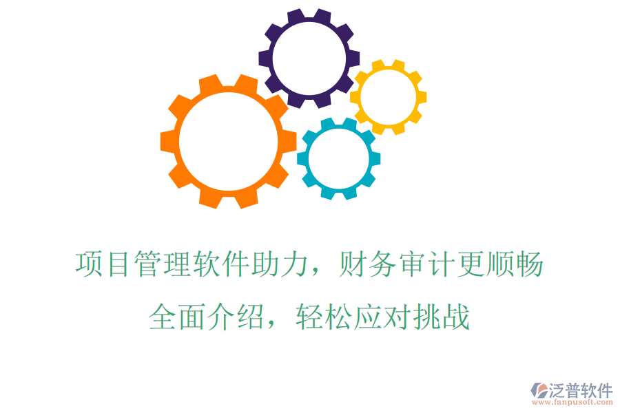 項目管理軟件助力，財務(wù)審計更順暢，全面介紹，輕松應(yīng)對挑戰(zhàn)