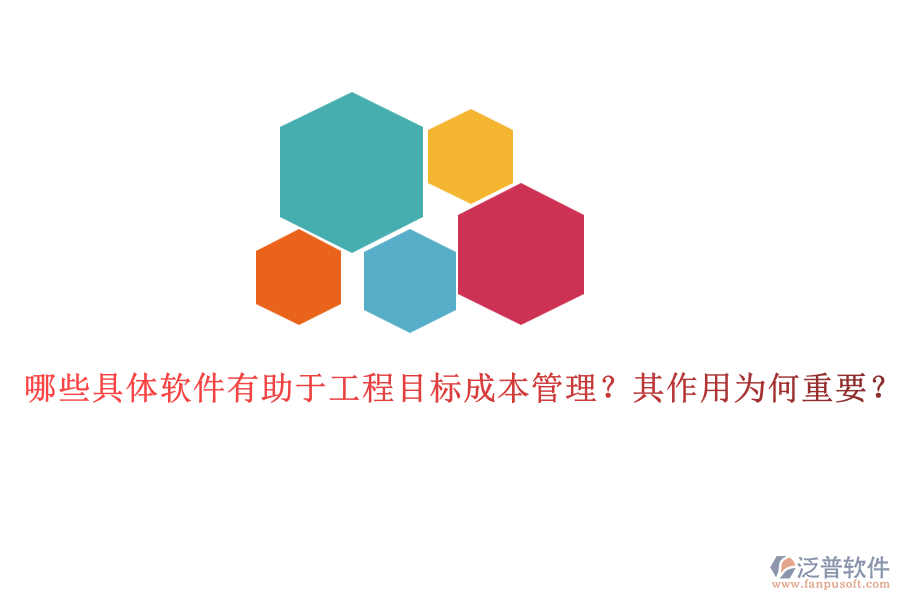 哪些具體軟件有助于工程目標(biāo)成本管理？其作用為何重要？
