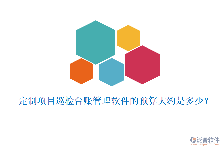 定制項(xiàng)目巡檢臺(tái)賬管理軟件的預(yù)算大約是多少？