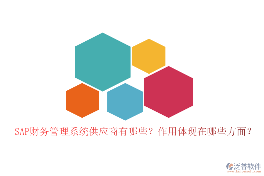 SAP財(cái)務(wù)管理系統(tǒng)供應(yīng)商有哪些？作用體現(xiàn)在哪些方面？