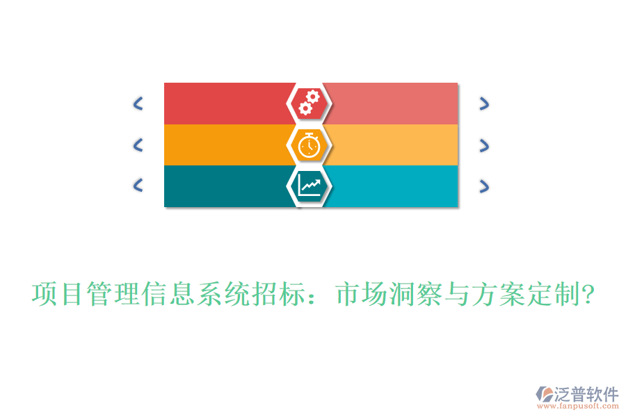 項目管理信息系統(tǒng)招標(biāo)：市場洞察與方案定制?