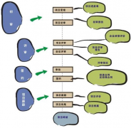 擔(dān)保業(yè)務(wù)管理系統(tǒng)ThinkOne