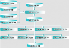 財務(wù)軟件網(wǎng)絡(luò)版哪個好？