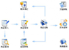 財務(wù)軟件是否有網(wǎng)絡(luò)版的？