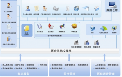 區(qū)域衛(wèi)生信息化是新醫(yī)改的必要條件！