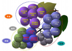 金和OA軟件好不好？有沒有人知道呢？