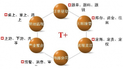 用友t+有沒有什么缺點？