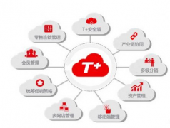 用友t+(U盤版)這個軟件怎么樣？